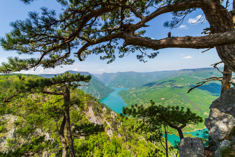 Banjska Stenа