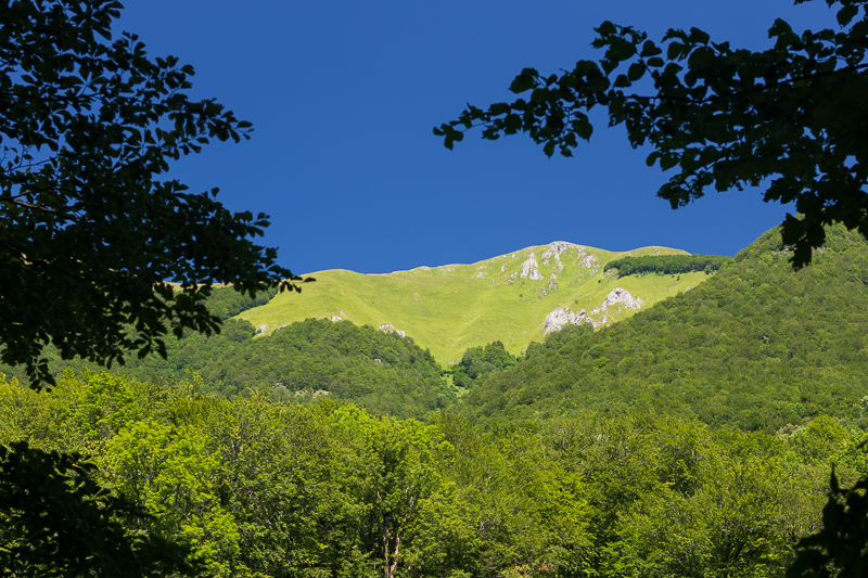 Biogradska Gora Nemzeti Park